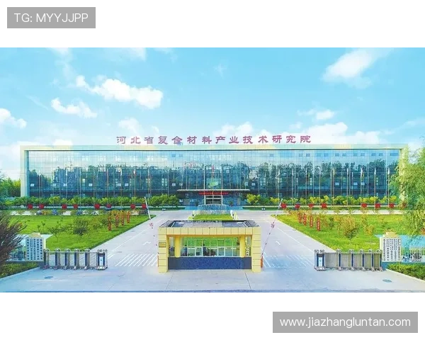 凯发集团k8：全面解析其发展历程与行业地位