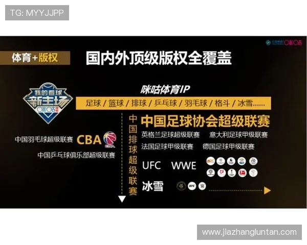 开云体育网站入口最新入口链接，确保用户安全顺畅登录享受丰富体育赛事内容