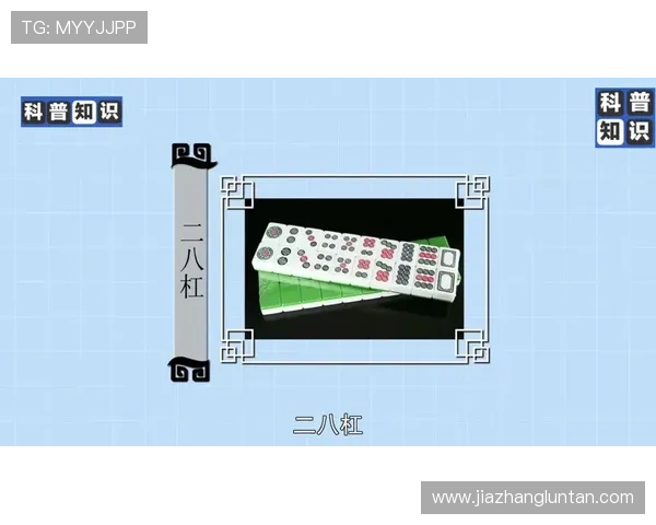 二八杠游戏规则详解及玩法技巧全面介绍帮助玩家快速掌握